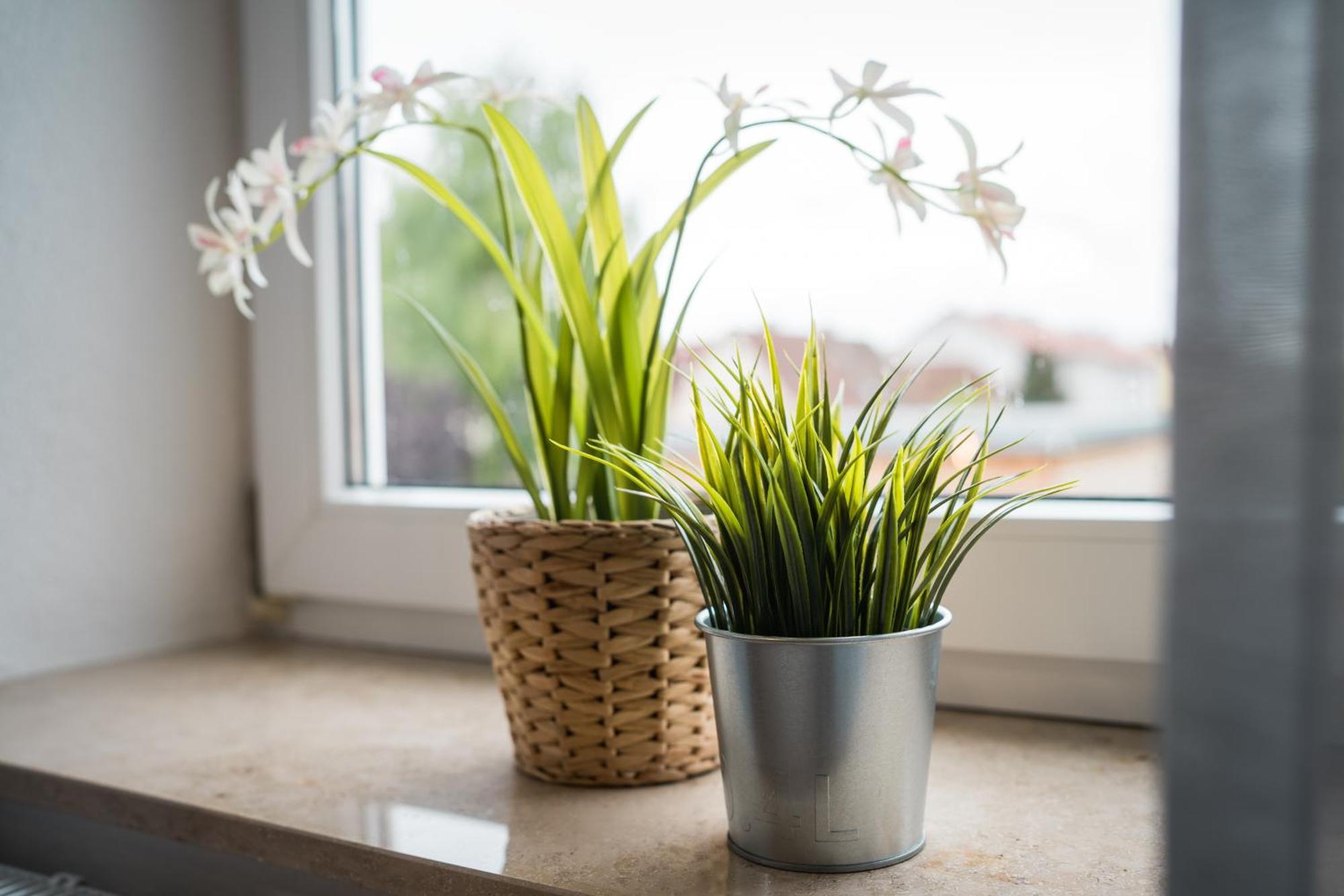 Doppelzimmer 3 - Neu Renoviert Apartment